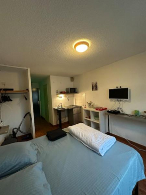 Studio N 119 Calme, fonctionnel centre pk gratuit